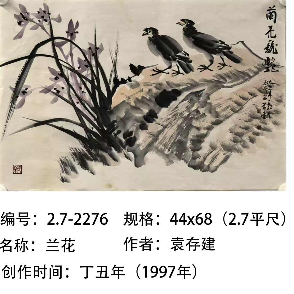 2.7-2276.jpg